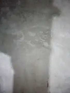 milo123-xx online show from February 2026 02:48:01 PM