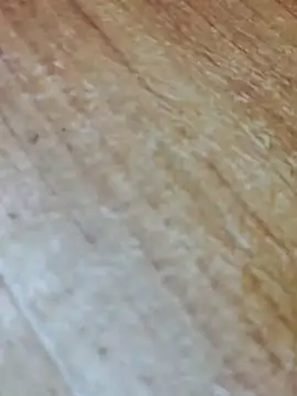 Markroco696 online show from November 2025 05:22:01 AM