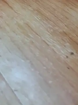 Markroco696 online show from November 2025 04:05:01 AM