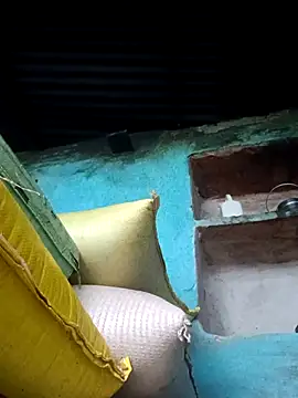 Dikchahot online show from October 2025 02:43:02 AM