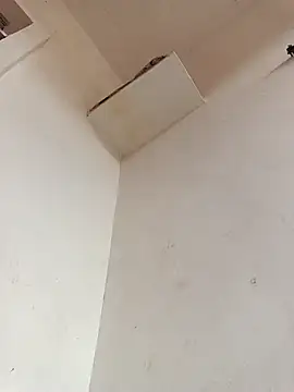 Dikchahot online show from November 2025 10:21:02 AM