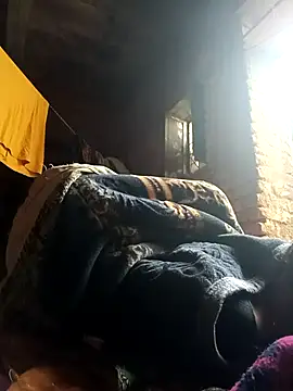 cute diya 12 online show from February 2026 03:25:01 AM