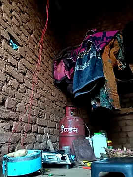 cute diya 12 online show from February 2026 02:53:02 AM