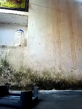 cute diya 12 online show from February 2026 03:05:01 AM