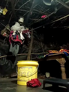 cute diya 12 online show from December 2025 03:06:02 PM