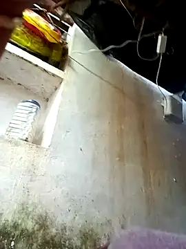 cute diya 12 online show from February 2026 03:06:01 AM