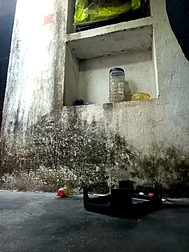 cute diya 12 online show from December 2025 02:51:02 AM