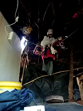 cute diya 12 online show from November 2025 02:07:02 AM