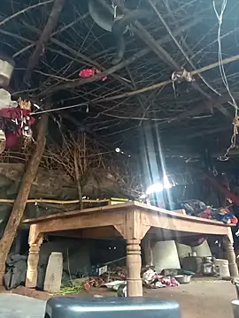 cute diya 12 online show from November 2025 03:23:02 AM