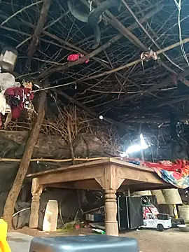 cute diya 12 online show from November 2025 03:32:01 AM