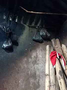  Helala  online show from February 2026 08:36:02 AM