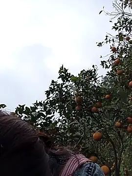  Helala  online show from December 2025 05:33:01 AM