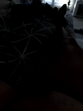 julienCr7 online show from November 2025 02:54:02 PM