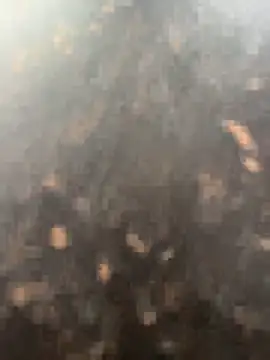 Snapshot of anjalibb chatting on October 2025 07:20:02 AM anjalibb online show from October 2025 07:20:02 AM