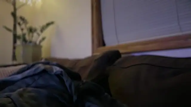 Ty lerDavid online show from January 2026 08:09:01 AM