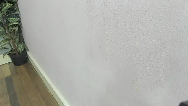 scarlett646 online show from February 2026 03:09:02 AM