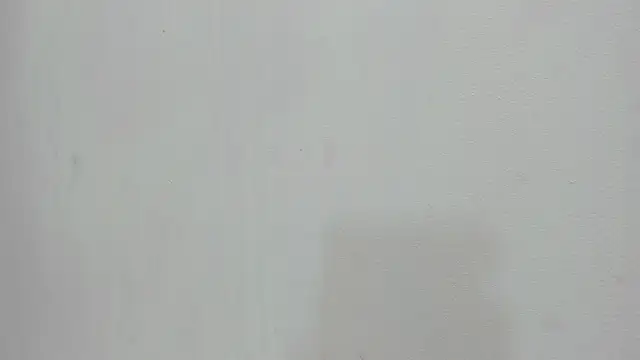 scarlett646 online show from November 2025 03:06:01 AM