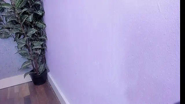 scarlett646 online show from February 2026 03:08:02 AM