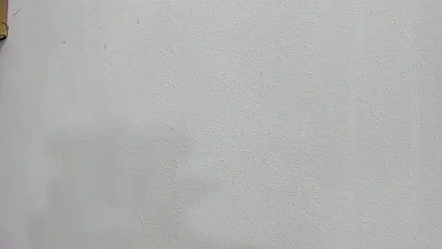 scarlett646 online show from October 2025 03:06:02 AM