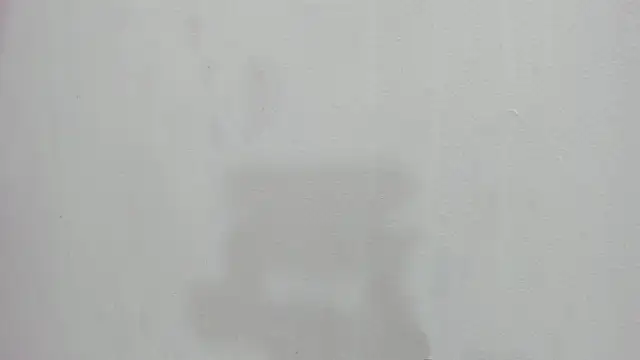 scarlett646 online show from November 2025 03:06:01 AM