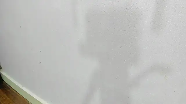 scarlett646 online show from January 2026 03:10:02 AM