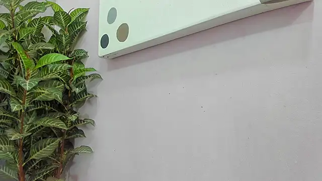 scarlett646 online show from November 2025 03:10:01 AM