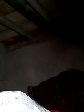 misa 00 online show from February 2026 08:31:02 PM