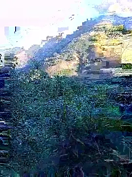 Snapshot of misa_00 chatting on November 2025 01:06:01 AM misa 00 online show from November 2025 01:06:01 AM