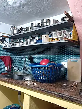 bakyasree143 online show from November 2025 07:19:01 AM