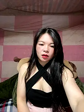 Snapshot of Aminotran chatting on September 2025 01:55:01 PM Aminotran online show from September 2025 01:55:01 PM