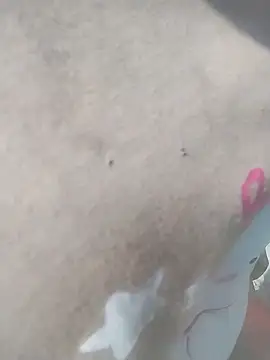 venu00 online show from April 2026 02:13:02 AM