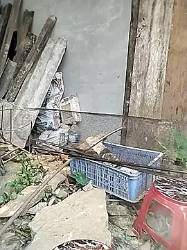 venu00 online show from April 2026 06:30:01 AM