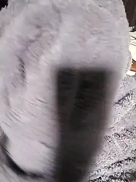 venu00 online show from February 2026 03:29:01 AM