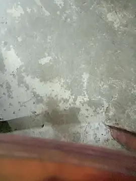 boyraj28 online show from April 2026 08:23:02 PM