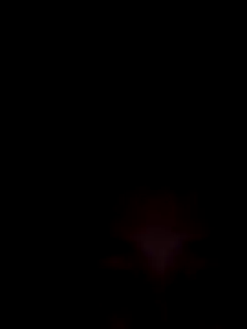 SweetSophie26 online show from January 2026 04:40:01 AM