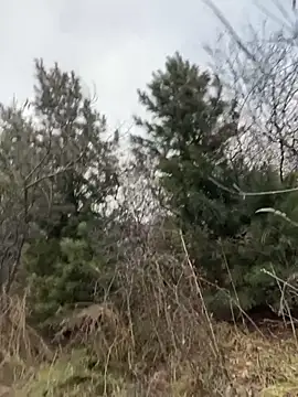 desiredude9 online show from November 2025 09:58:01 AM