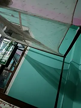 Roney67 online show from March 2026 07:29:01 PM