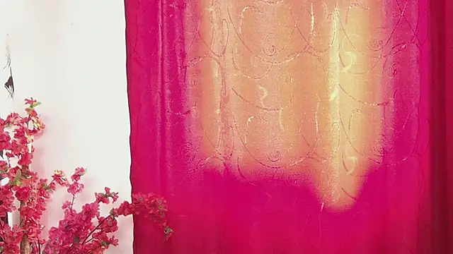 sany noa online show from November 2025 07:28:02 PM