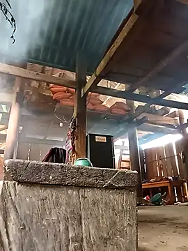 Ngocmi909 online show from March 2026 05:08:02 AM