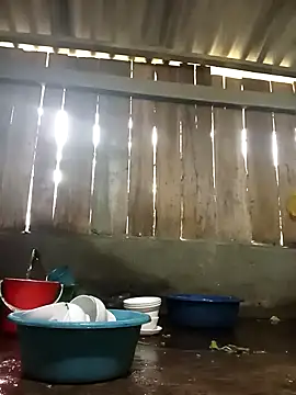 Ngocmi909 online show from November 2025 01:20:02 AM