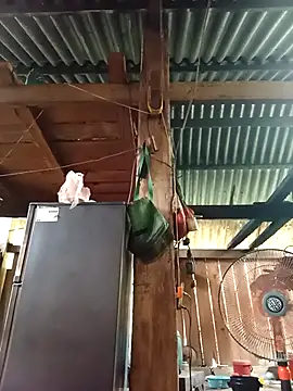 Ngocmi909 online show from April 2026 04:29:02 AM