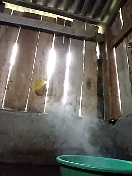 Ngocmi909 online show from November 2025 12:15:02 AM