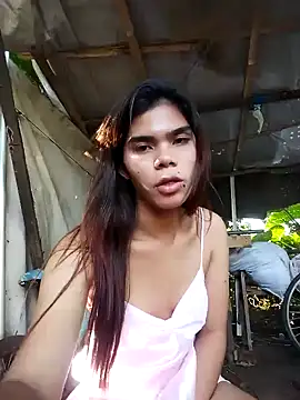 dianne swift online show from December 2025 12:11:01 AM