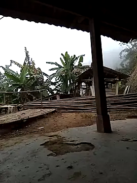 Sa2mh20 online show from December 2025 01:05:01 AM