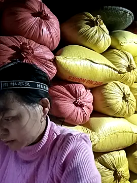 Sa2mh20 online show from February 2026 11:08:02 AM