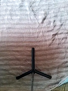arachnahot online show from September 2025 06:46:01 AM