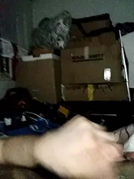 LolGamer54321 online show from February 2026 11:46:01 PM