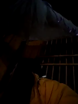 Snapshot of miss-su chatting on December 2025 05:25:01 PM miss-su online show from December 2025 05:25:01 PM