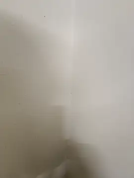 Snapshot of JackandJill124 chatting on October 2025 11:44:02 AM JackandJill124 online show from October 2025 11:44:02 AM