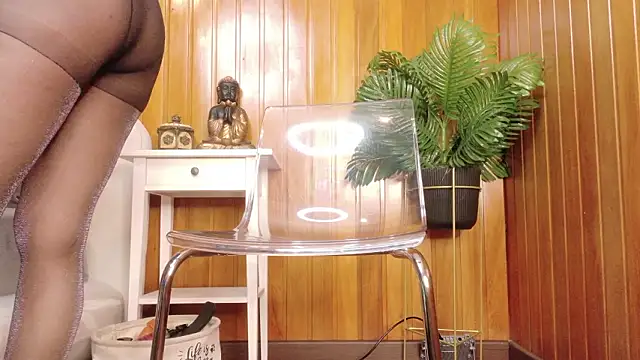 Zafiro Gem  online show from February 2026 08:03:02 PM